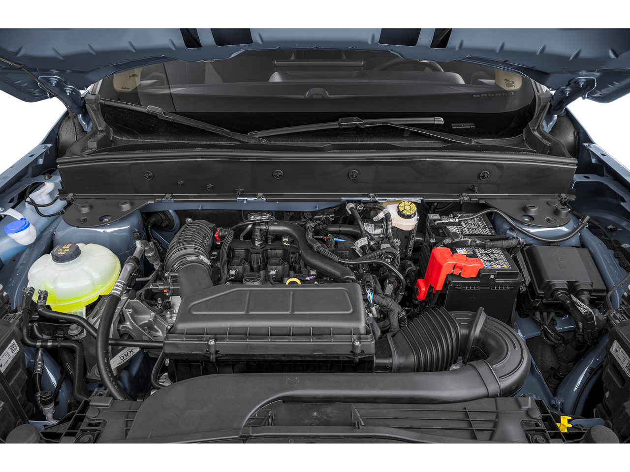 2025 Ford Bronco Sport Big Bend®