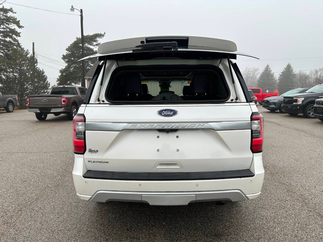 2019 Ford Expedition Platinum 4x4 4dr SUV